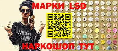 гидропоника Пенза