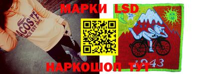 гидропоника Пенза
