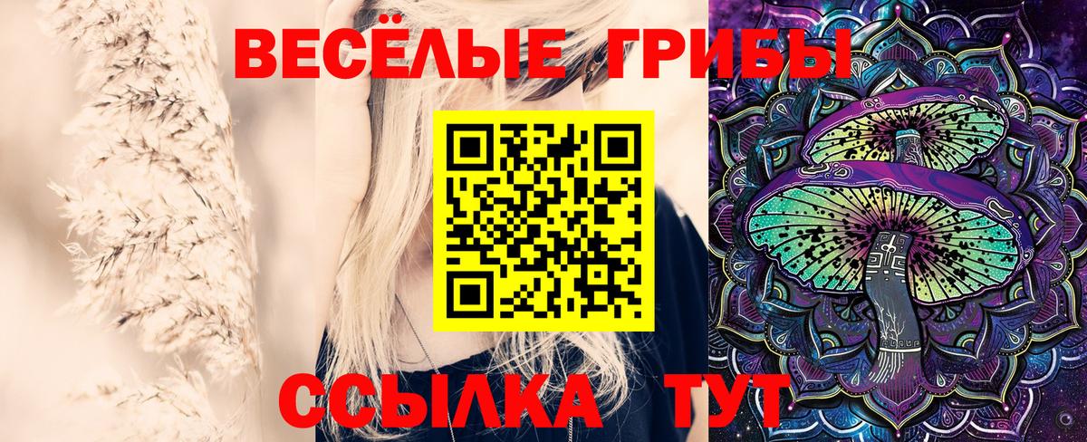 Сегежа  Псилоцибиновые грибы MAGIC MUSHROOMS  Вход с VPN 