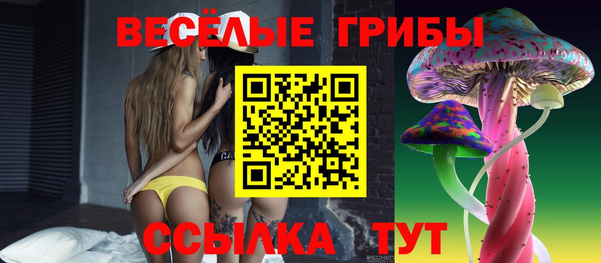Псилоцибиновые грибы GOLDEN TEACHER Сегежа